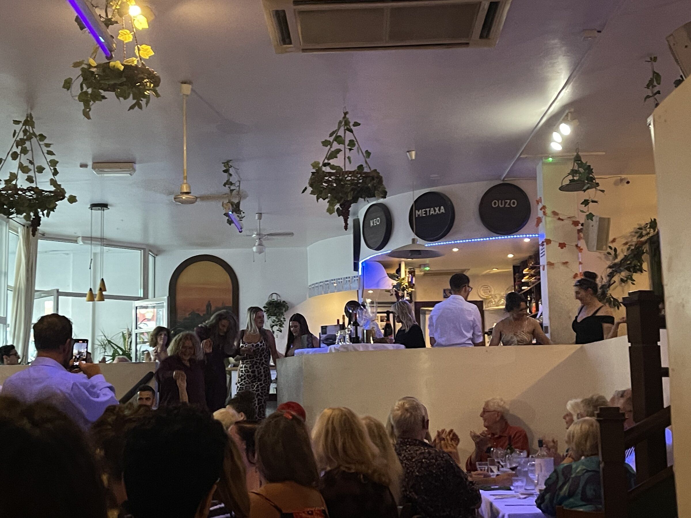 The Greek Night that filled the Greek Vine, photograph 1
