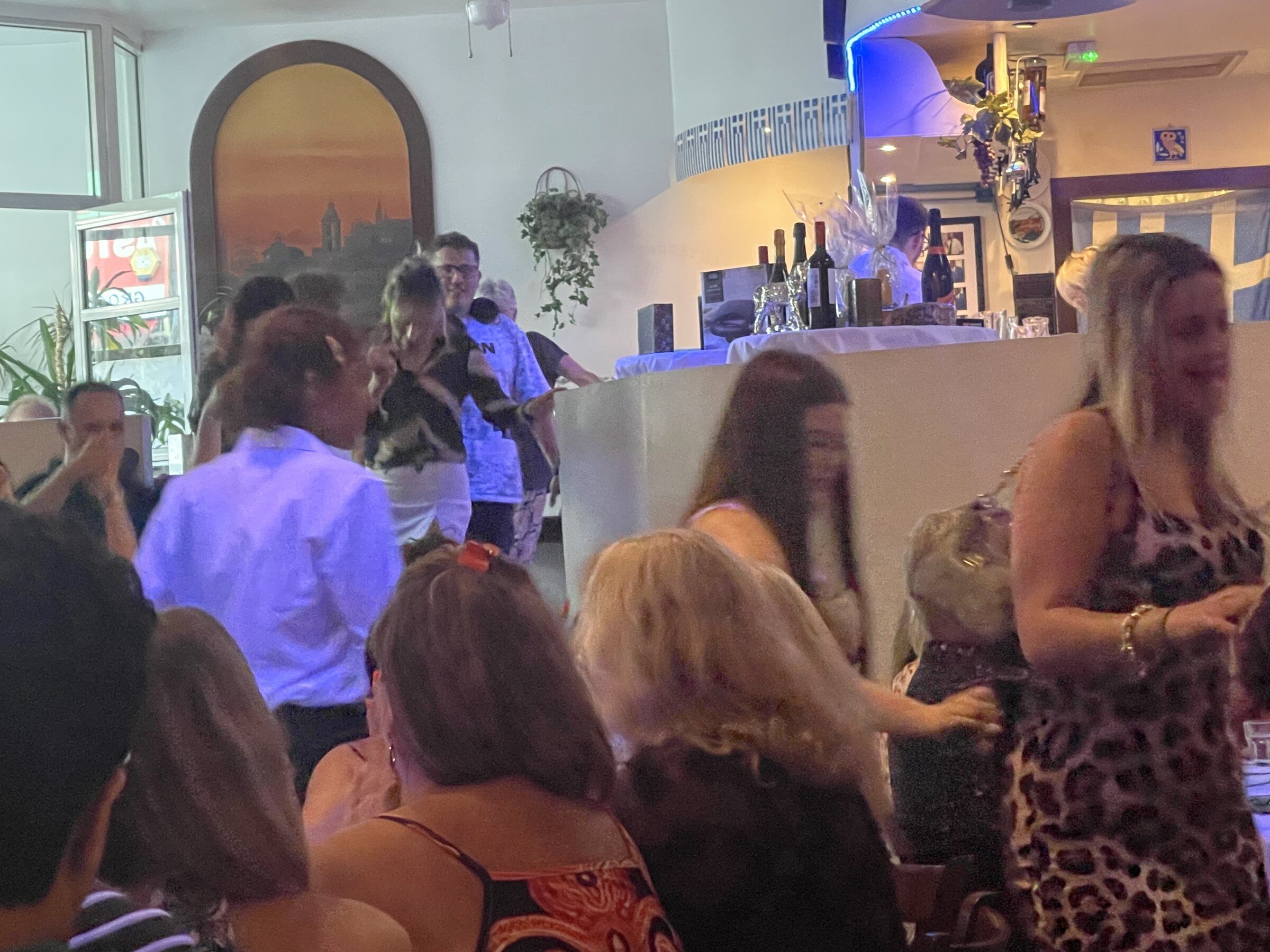 The Greek Night that filled the Greek Vine, photograph 9