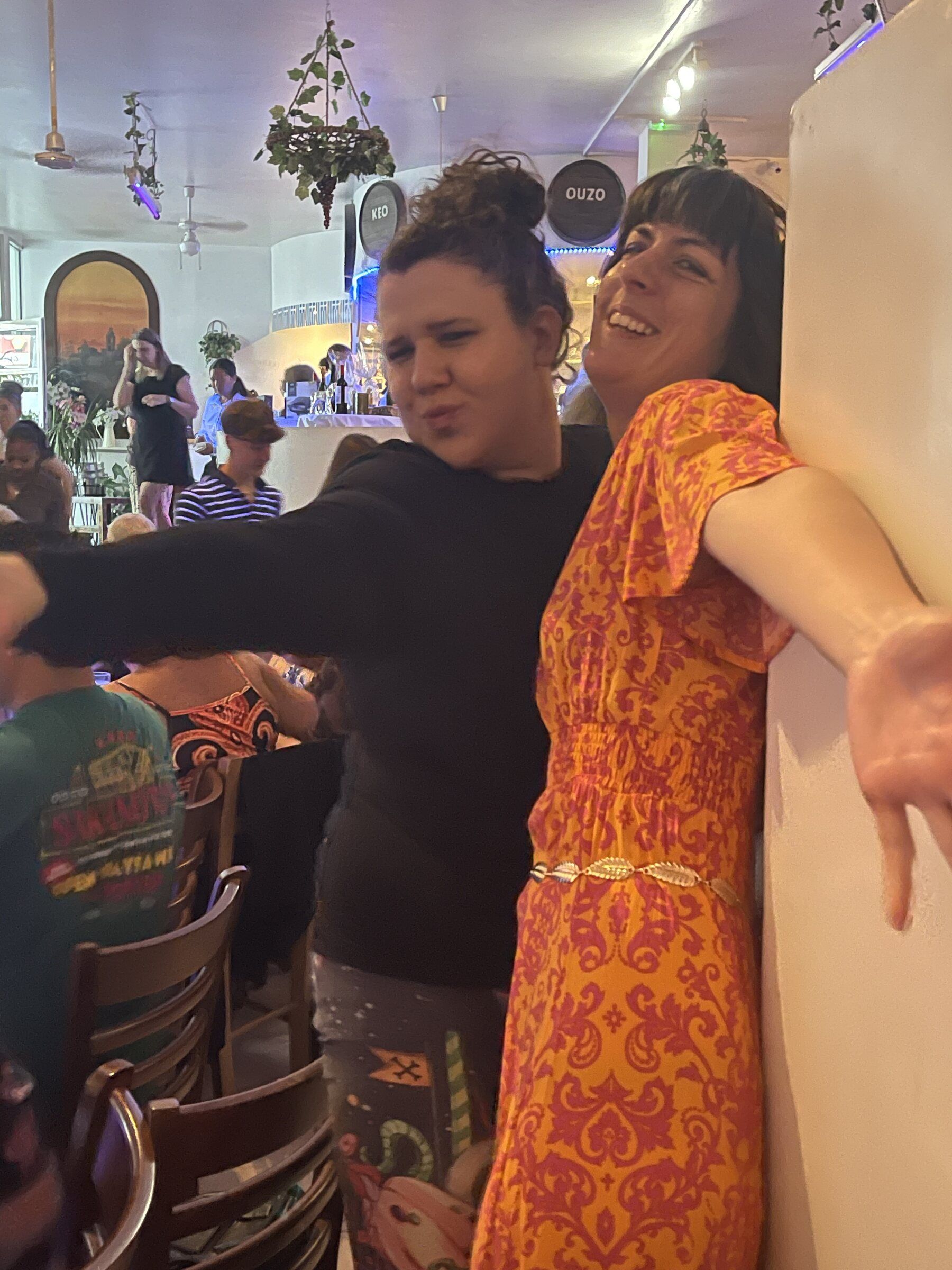 The Greek Night that filled the Greek Vine, photograph 11